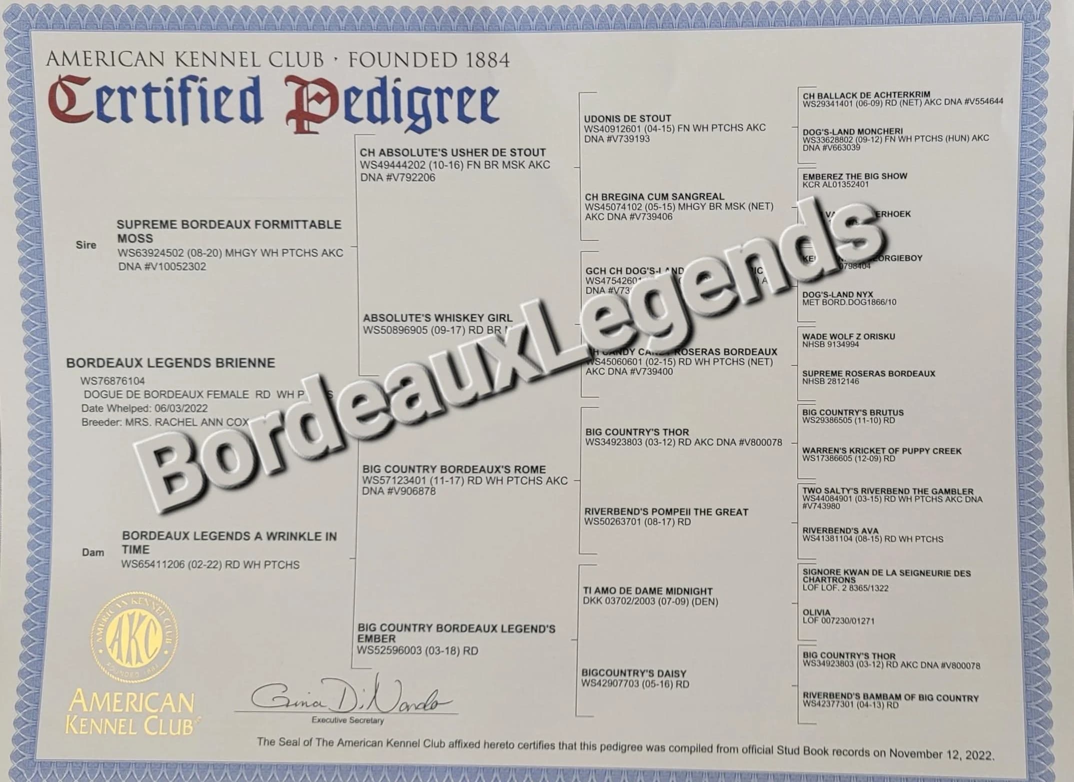 Scanned pedigree chart for Brienne