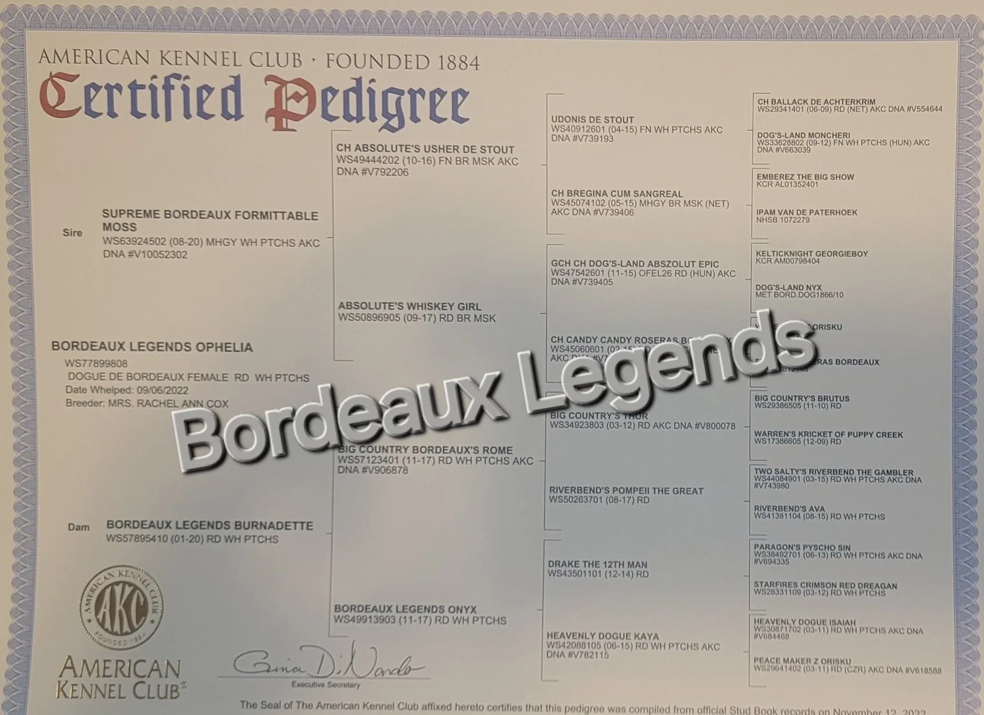 Scanned pedigree chart for Ophelia
