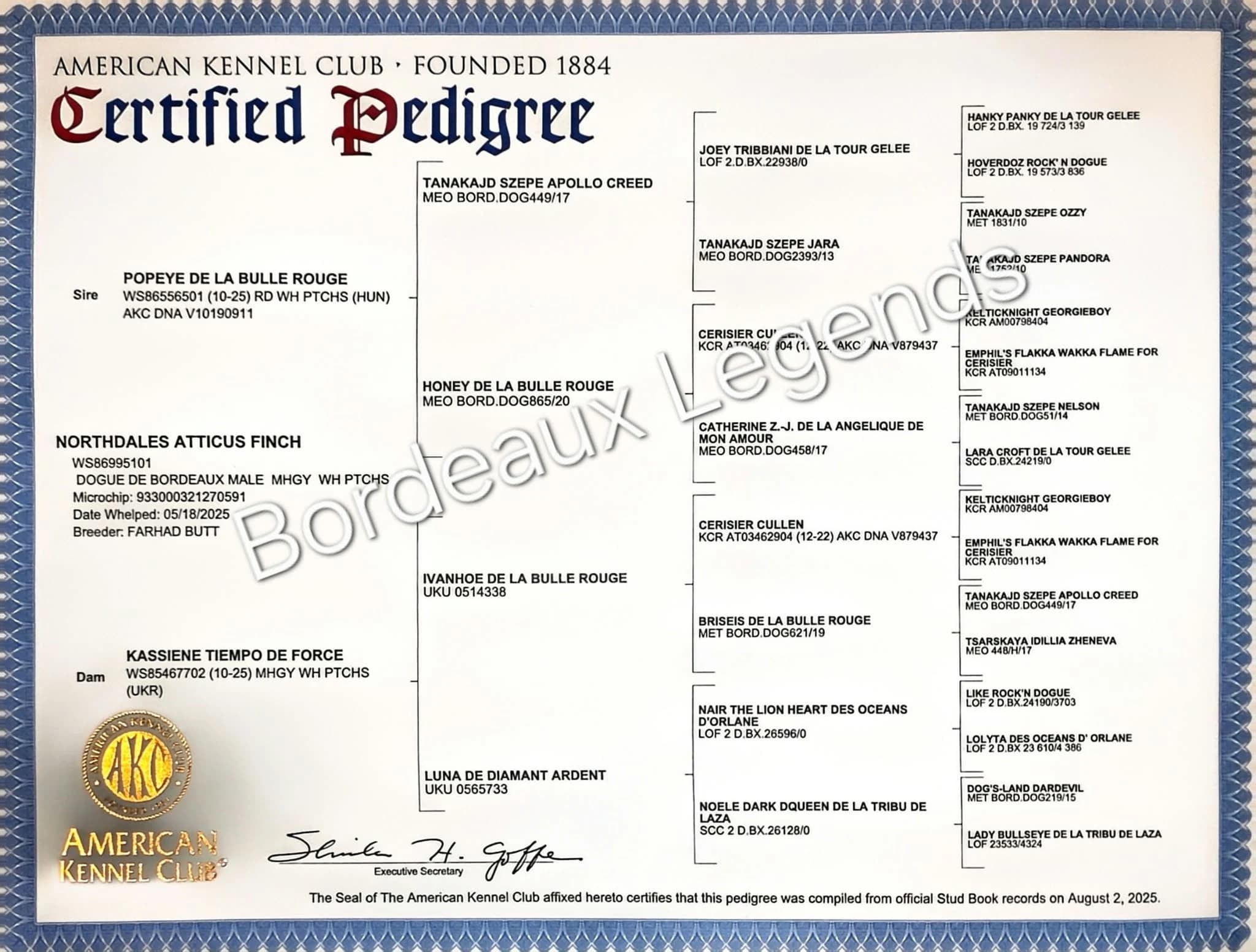 Scanned pedigree chart for Atticus